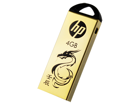 HP v228g USB Flash Drive