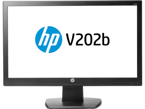 HP V202b -näyttö, 19,5 tuumaa