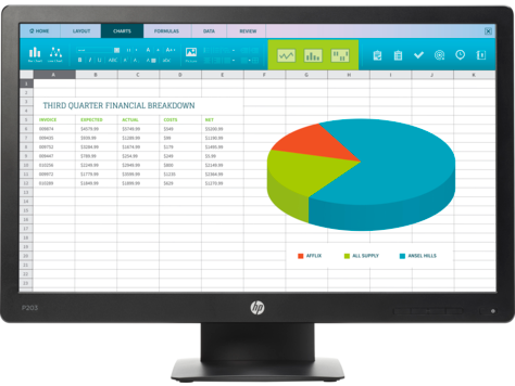 Monitor HP ProDisplay P203 de 20 pulg.