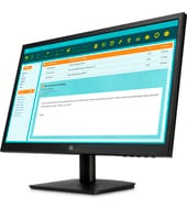 HP N223 21.5-inch Monitor