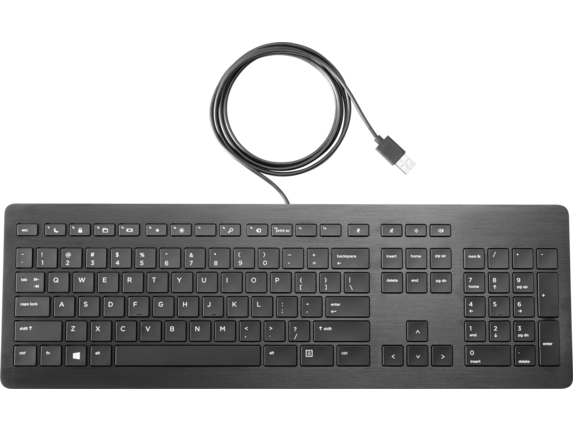 Keyboards/Mice and Input Devices, HP USB Premium Keyboard