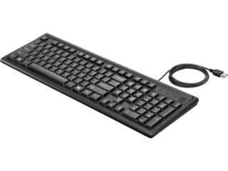 HP Keyboard 100