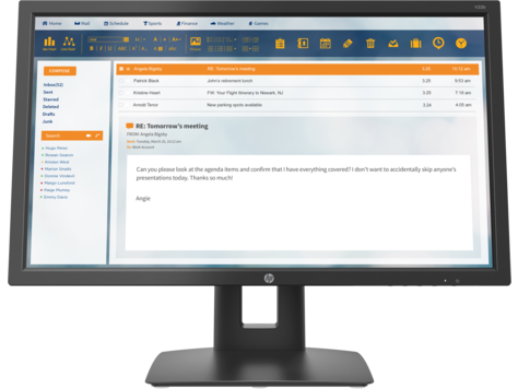 HP V22b Monitor