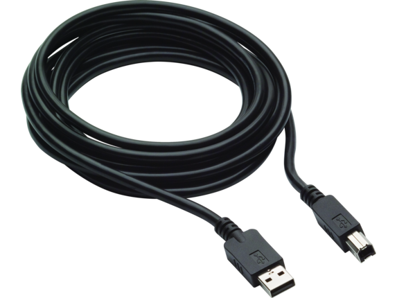 Image for HP 300cm DP and USB B to A Cable for L7016t L7014t and L7010t from HP2BFED