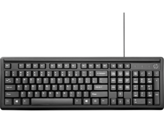 HP Keyboard 100