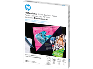 HP® Premium Plus Soft-gloss Photo Paper-100 sht/4 x 6 in (CR666A)