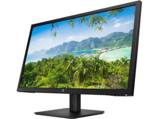 HP V28 Dual Monitor Bundle