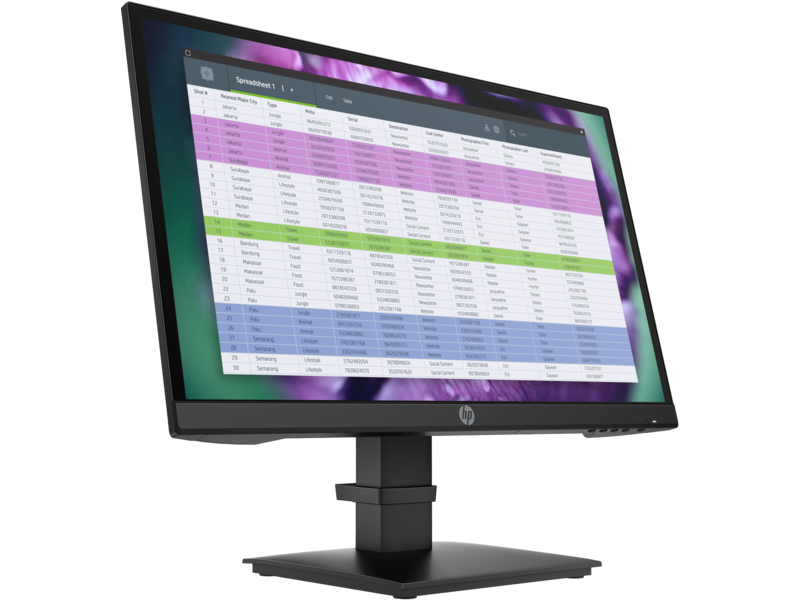 HP P22 G4 FHD Monitor (P22H, G4, JetBlack, Spreadsheet) FrontRight