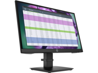 HP P22 G4 22 FHD Monitor