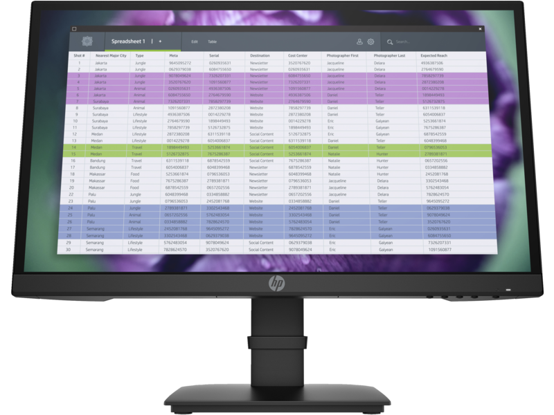 HP P22 G4 FHD Monitor (P22H, G4, JetBlack, Spreadsheet) Front