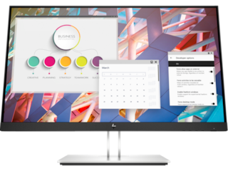 HP E24 G4 FHD Monitor