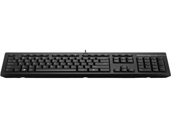 Keyboards/Mice and Input Devices, HP 125 Wired Keyboard