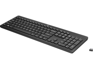Wireless Mouse and Combo HP Keyboard 230