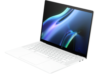 HP Dragonfly Pro Chromebook 16GB/BK